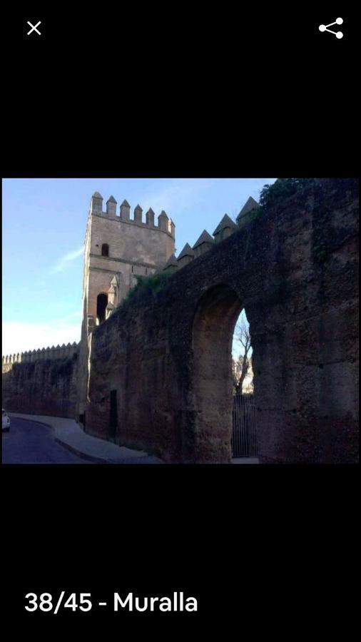 Oasi Macarena Lägenhet Sevilla Exteriör bild