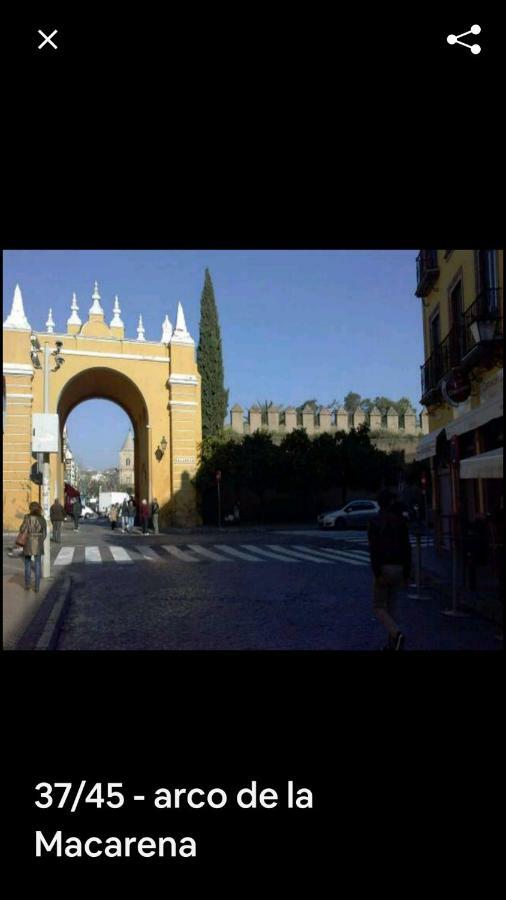 Oasi Macarena Lägenhet Sevilla Exteriör bild